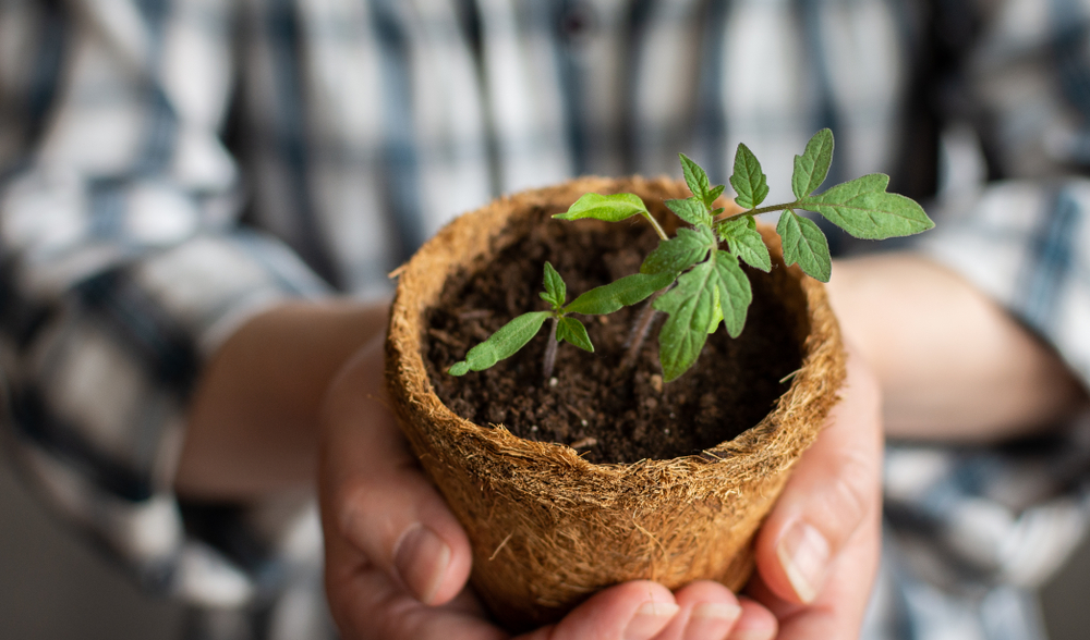 Biobased materials